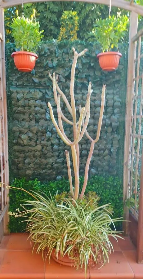 Apartamento Casa Nodica Tacoronte